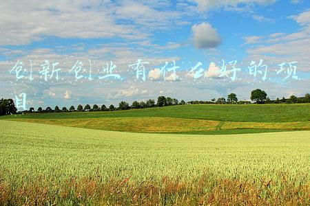 创新创业有什么好的项目