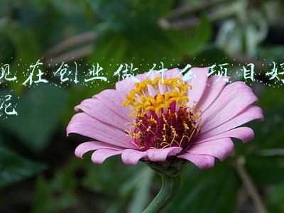 现在创业做什么项目好呢