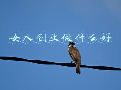 女人创业做什么好