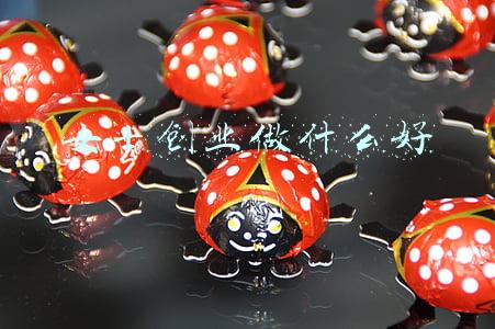 女士创业做什么好