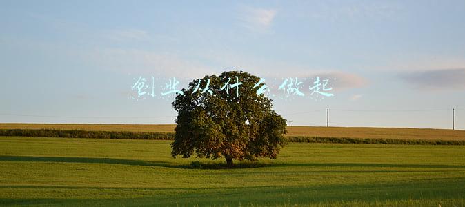 创业从什么做起