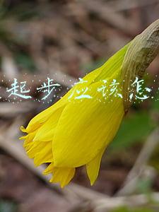 创业起步应该怎么做