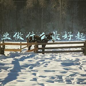 创业做什么最好起步