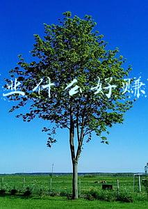 创业什么好赚钱