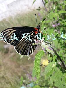 什么创业项目比较赚钱