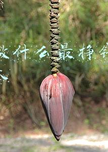 创业做什么最挣钱不容易亏本