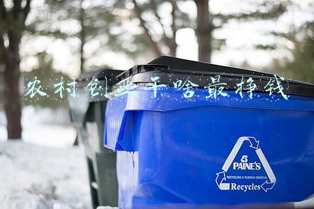农村创业干啥最挣钱