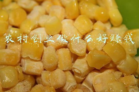 农村创业做什么好赚钱