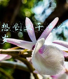 女人想创业干点什么好40多岁