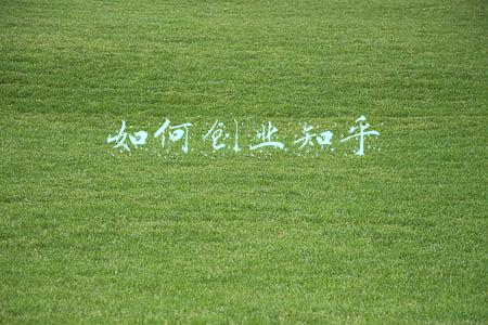 如何创业知乎