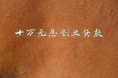 十万无息创业贷款(五华区年化利率低至2.35%的10万元免担保创业贷款开始受理)