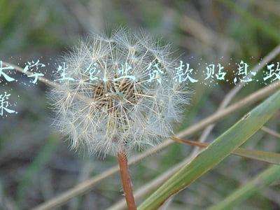 大学生创业贷款贴息政策