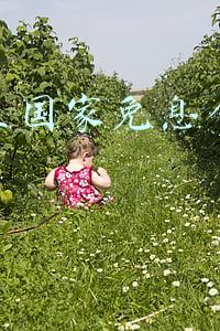 大学生国家免息创业贷款15万