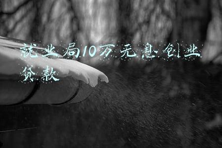 就业局10万无息创业贷款