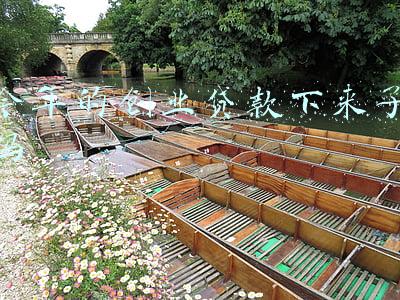 今年的创业贷款下来了吗