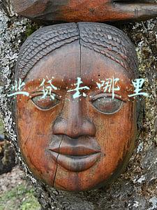 创业贷去哪里贷