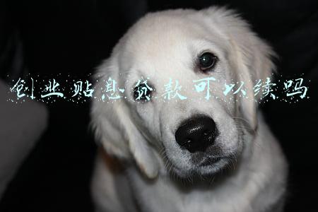 创业贴息贷款可以续吗