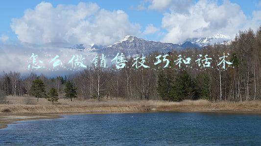 怎么做销售技巧和话术