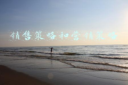 销售策略和营销策略