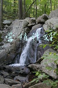 营销计划