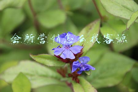 会所营销怎么找客源