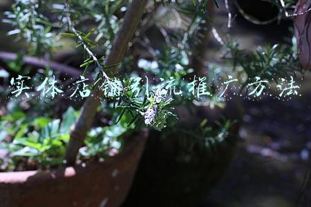 实体店铺引流推广方法