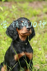 微信营销的10种方法技巧