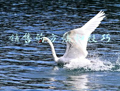 销售的方法和技巧