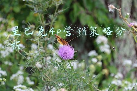 星巴克4p营销策略分析