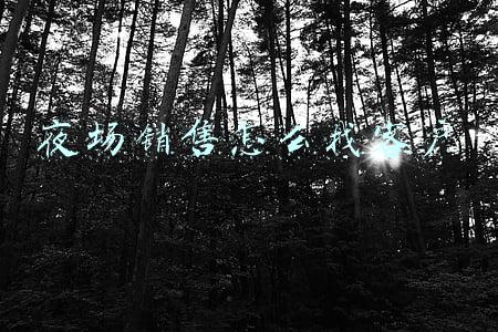 夜场销售怎么找客户