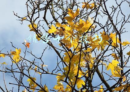 销售十个技巧 销售十个技巧