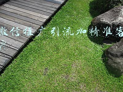 微信推广引流加精准客户