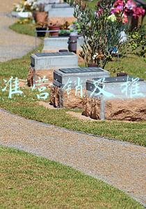 精准营销及推广