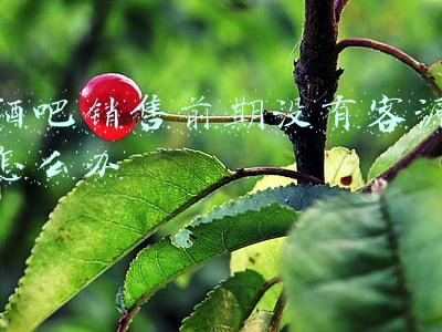 酒吧销售前期没有客源怎么办