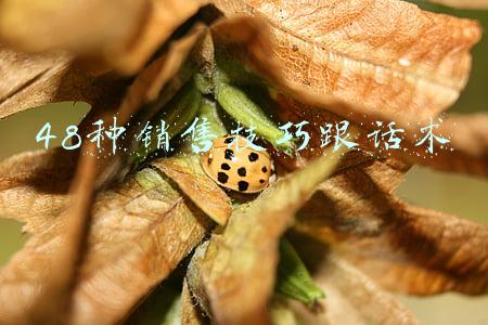 48种销售技巧跟话术 48种销售技巧跟话术