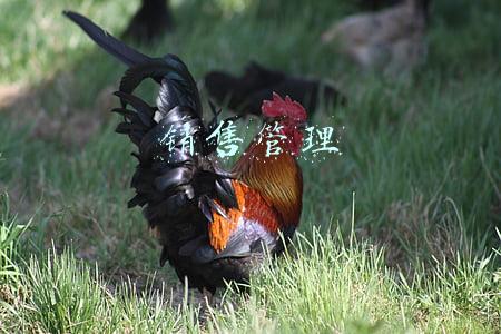 销售管理