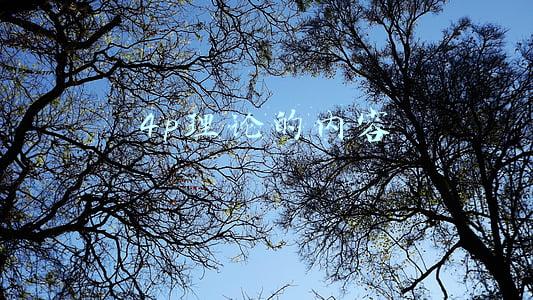 4p理论的内容