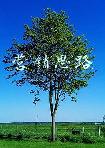 营销思路