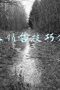 个人销售技巧分享