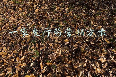 一家餐厅的营销方案