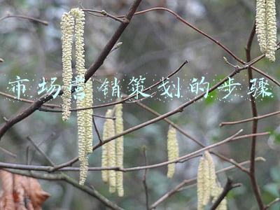市场营销策划的步骤