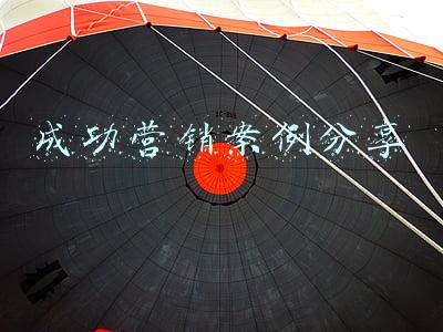 成功营销案例分享