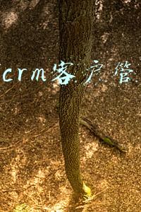 销售crm客户管理系统