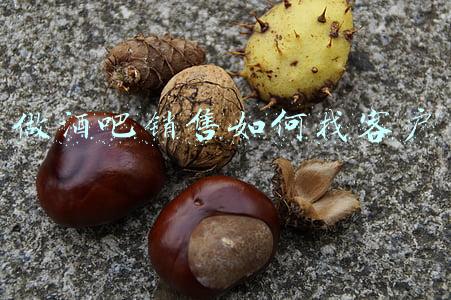 做酒吧销售如何找客户