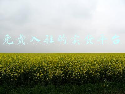 免费入驻的卖货平台