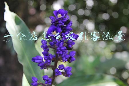 一个店怎么吸引客流量