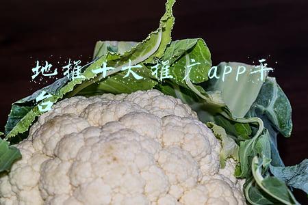 地推十大推广app平台