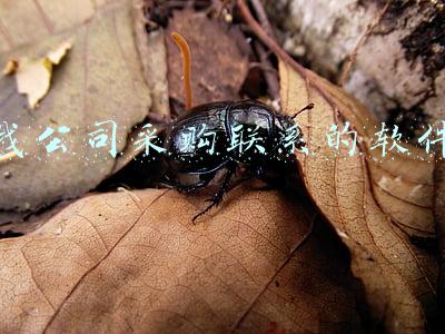 找公司采购联系的软件 找公司采购联系的软件