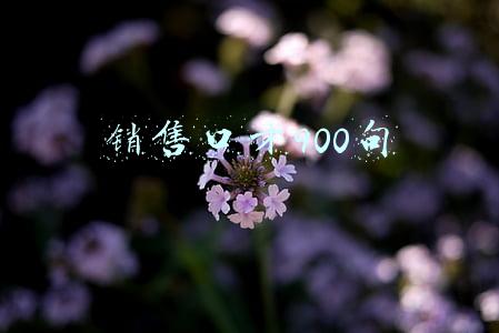 销售口才900句