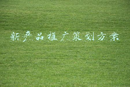 新产品推广策划方案